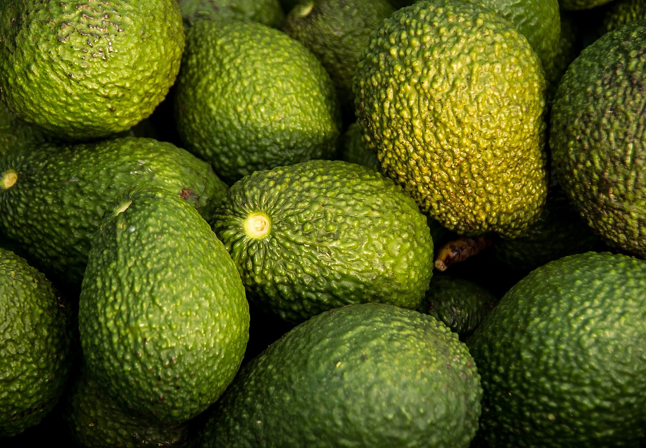 Paltas