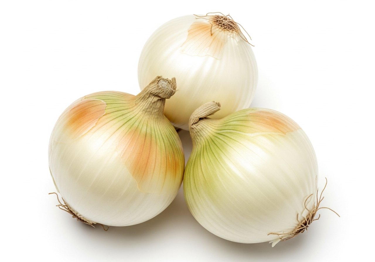 Cebolla Medium